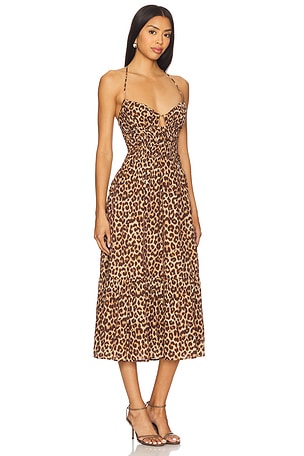 ASTR the Label Maxi Dress in Brown