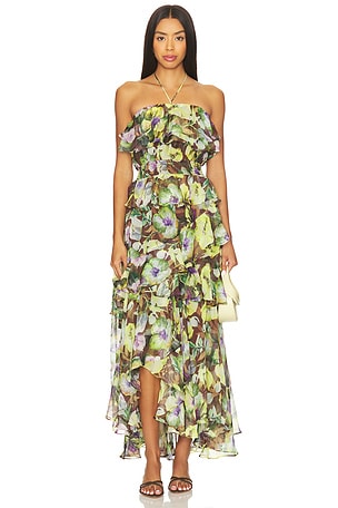 Elena Dress ASTR the Label