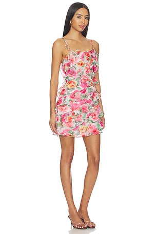 ASTR the Label Blanca Dress in Pink