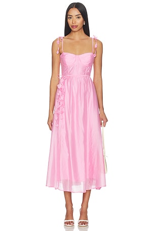 Halcyon Dress ASTR the Label