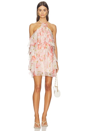 Ofra Dress ASTR the Label