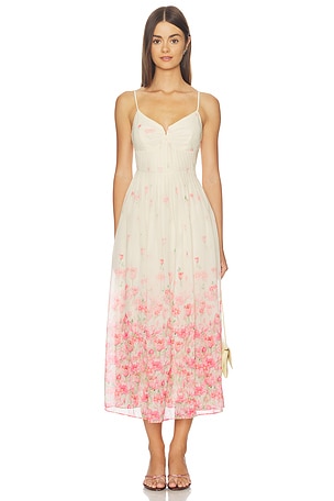 Bellora Dress ASTR the Label