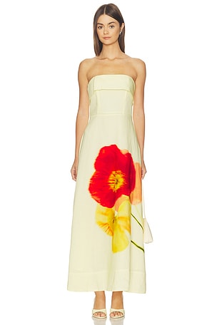 Ximena Dress ASTR the Label