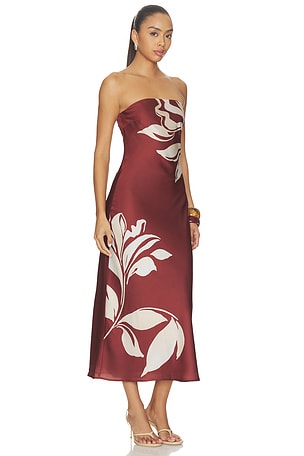 ASTR the Label Annabeth Dress in Brown