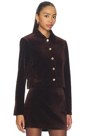 ASTR the Label Vox Jacket in Brown