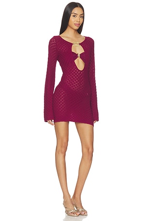 Away That Day Havana Dress in Burgundy