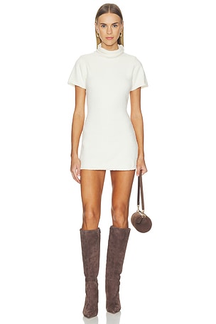 Graciela Mini Dress Amelie Teje