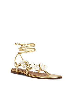 Alameda Turquesa Isla Perl? Sandal in Metallic Gold