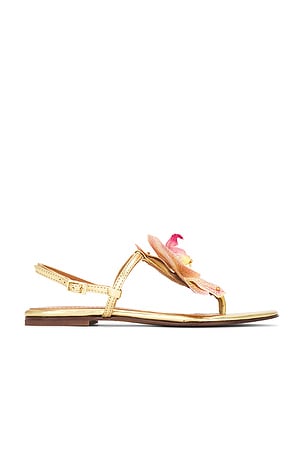 Constance Sandal Alameda Turquesa