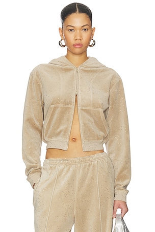 Allover Hotfix Shrunken Hoodie Alexander Wang