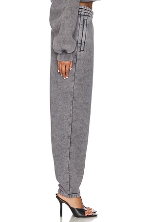Alexander Wang Essential Terry Classic Sweatpant in Grey