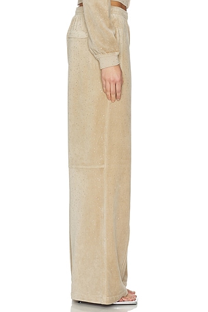 Alexander Wang Allover Hotfix Relaxed Pant in Tan. Size XS. Also