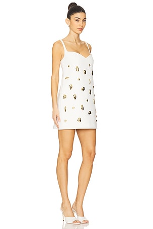 Alexis Larsen Dress in White