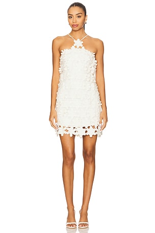 Lily Dress Alexis