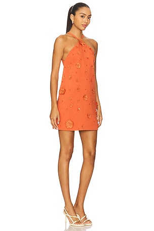 Alexis Milaa Dress in Orange