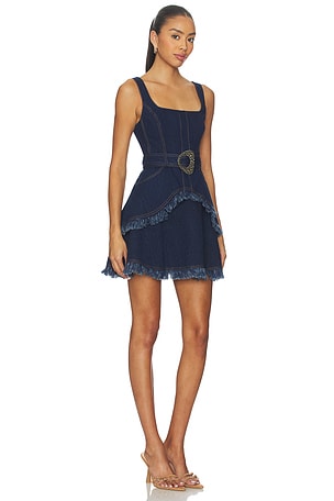 Alexis Macey Dress in Blue