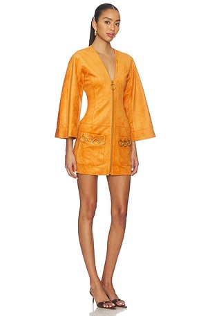 Alexis Anesa Dress in Cognac