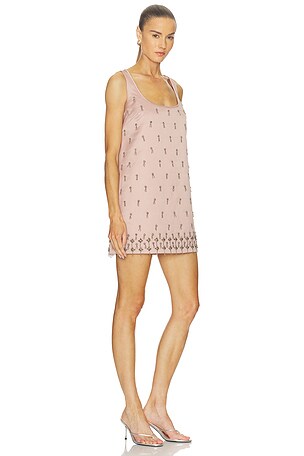 Alexis Delma Dress in Blush