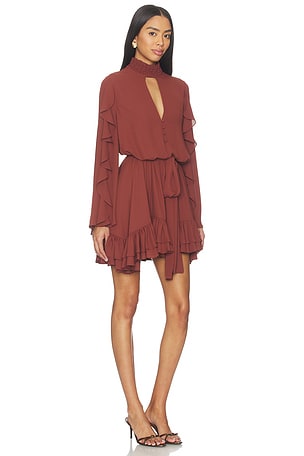 Alexis Giovanna Dress in Brown