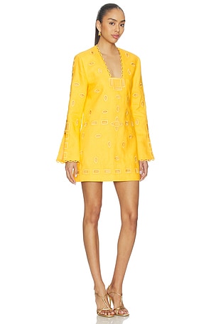 Alexis Eulia Dress in Yellow