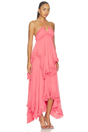 Alexis Sidi Dress in Rose