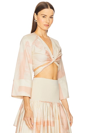 Alexis Ansalm Top in Pink