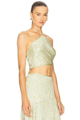 Alexis Nali Top in Sage