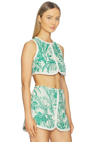 Alexis ola top en color verde