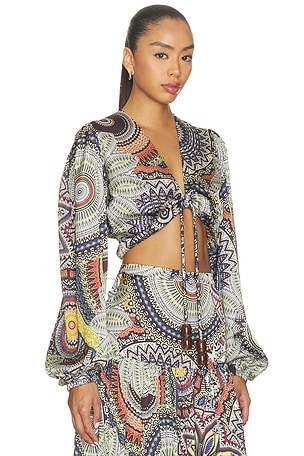 Alexis Colmar Top in Multi