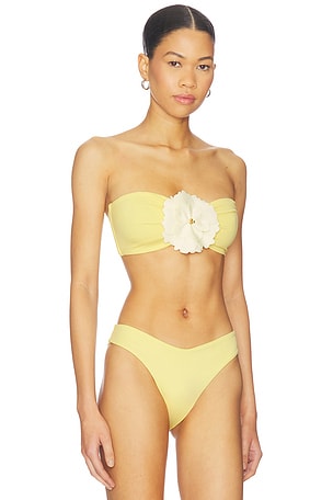 Bahia Maria Maia Bikini Top in Yellow