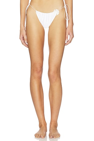 Orca Bottom Bananhot