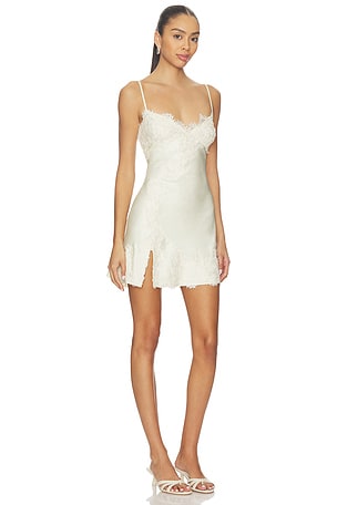 Bardot Alerie Lace Satin Mini Dress in Ivory
