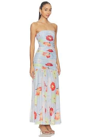 Bardot Solana Printed Mesh Maxi Dress in Baby Blue