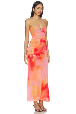 Bardot Stephanie Printed Mesh Dress in Pink