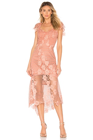 Bardot Lucy Lace Dress in Apricot | REVOLVE