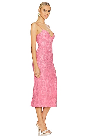 Bardot Hadley Midi Lace Dress in Pink