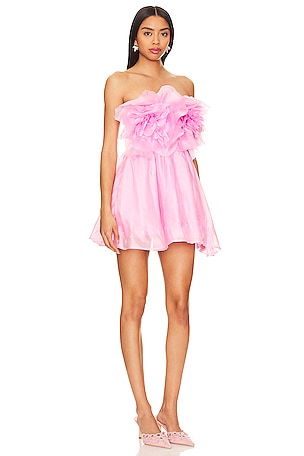 Bardot Fleurette Mini Dress in Pink