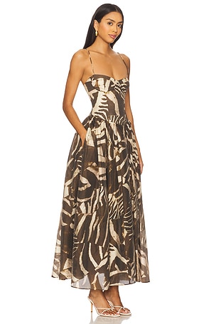 Bardot Estie Printed Maxi Dress in Brown