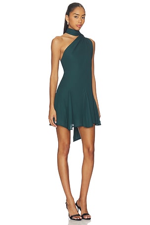 Baobab Ari Mini Dress in Green