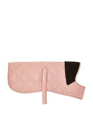 Barbour MANTEAU DOG en Penk