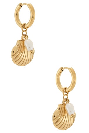 Cove Earrings BRACHA