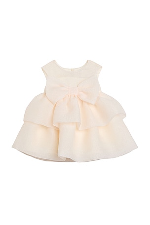 Vivian Organza Mini Dress Bardot Junior