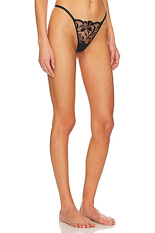 BLUEBELLA Leonora Thong in Black. Size XXL. Also