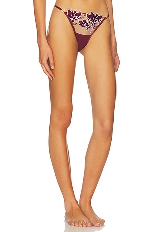 BLUEBELLA Geneva Thong in Red