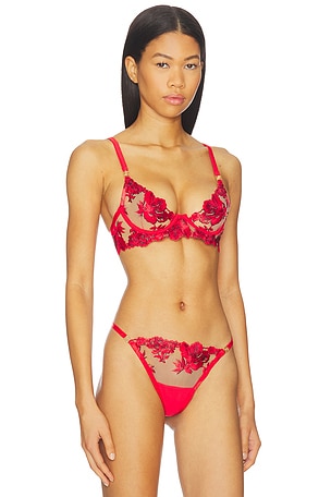 BLUEBELLA Lavanya Wired Bra in Red