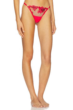 BLUEBELLA Lavanya Thong in Red