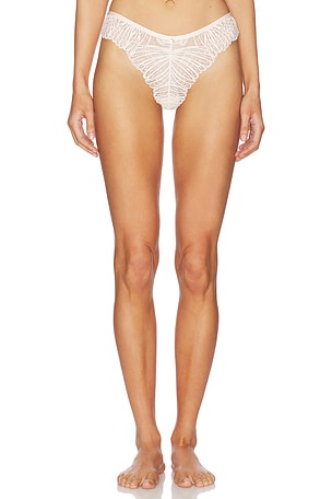 Peyton Thong BLUEBELLA