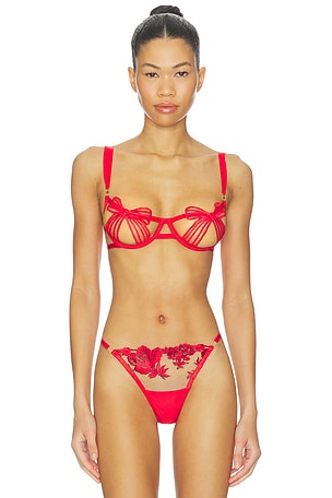 Annabel Wired Bra BLUEBELLA