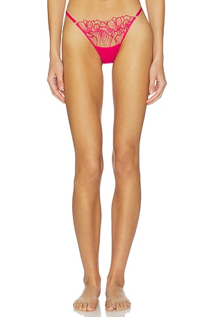 Amarosa Thong BLUEBELLA