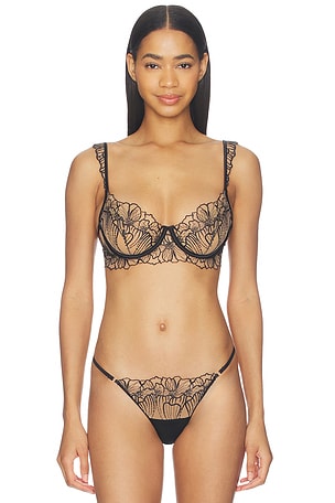 Amarosa Wired Bra BLUEBELLA